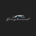 Greyhound