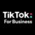 TikTok – Get Your Business Trending